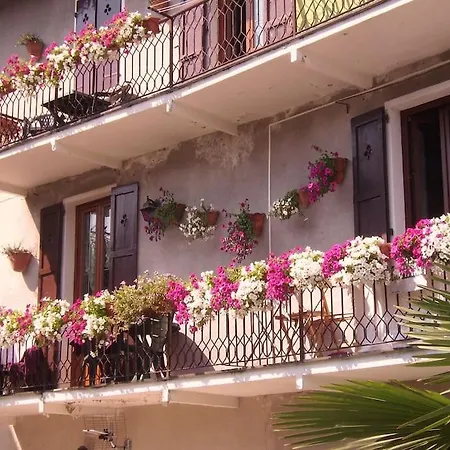 Charming Glicine And Azalea House Art And Colour With Lakeview *